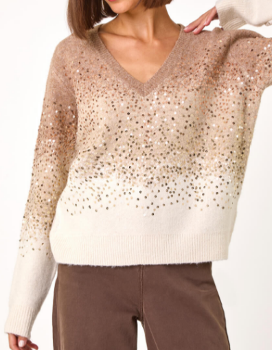 Dazzle Sequin Sweater